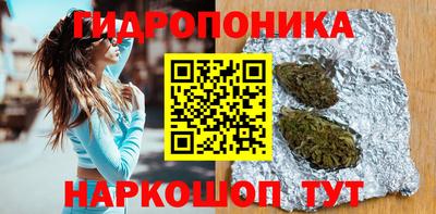 мдпв Рузаевка