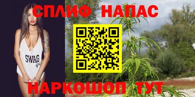 мдпв Рузаевка
